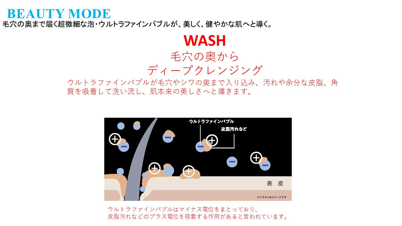 ボリーナアヴァンティ アクア(洗浄機能付)【シャワーヘッド】