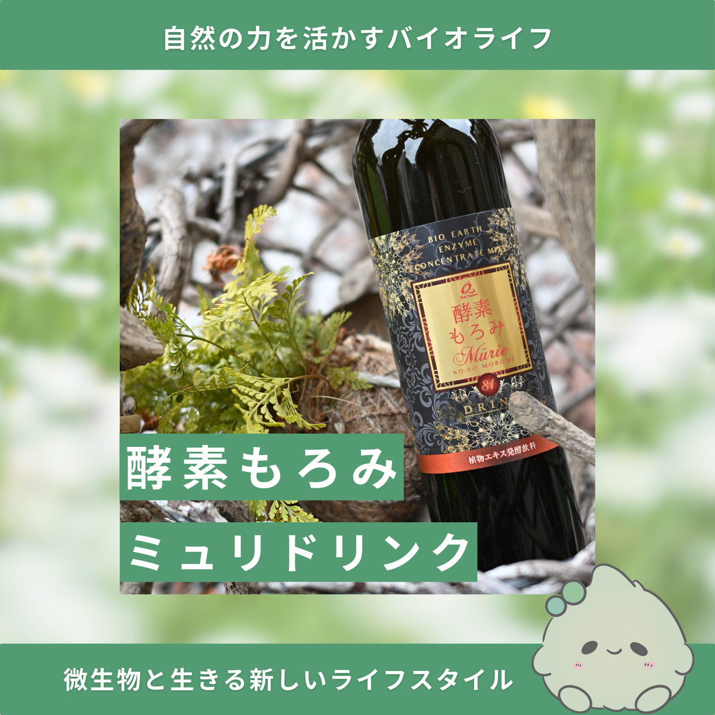 【腸活・腸内細菌ケア】酵素もろみミュリ ドリンク 500ml （81種類の植物発酵食品 / 乳酸菌・酵母菌 / 日本製）