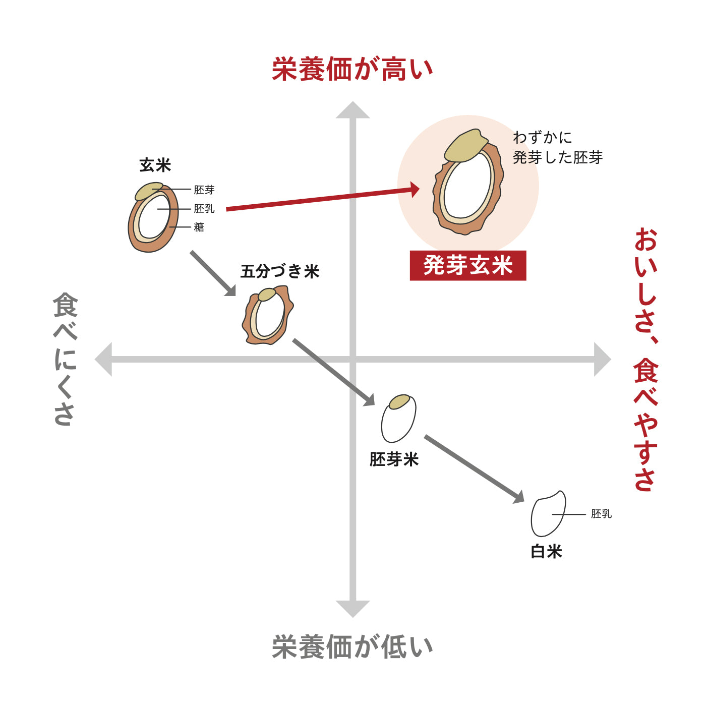 発芽玄米炊飯器 – Bio&Earth「ビオアース」